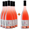 H. Lentsch 2022 5+1 Paket Rosé Vigneti delle Dolomiti IGP von Weingut H. Lentsch