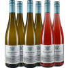 WirWinzer Select 2024 Hahn-Pahlke Kennenlern-Paket von Weingut Hahn Pahlke