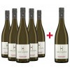 Haltinger 2017 5+1 Weißburgunder trocken Paket von Weingut Haltinger