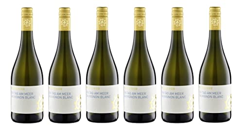 6x 0,75l - 2023er - Weingut Hammel - Ein Tag am Meer - Sauvignon Blanc - Qualitätswein Pfalz - Deutschland - Weißwein trocken von Weingut Hammel