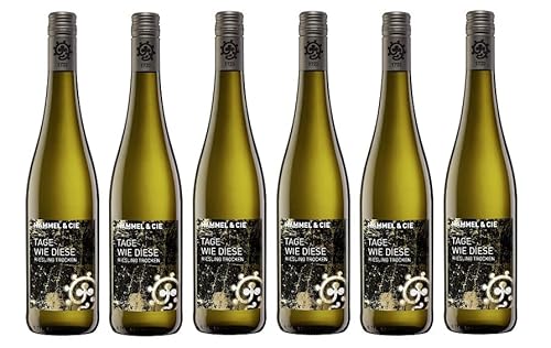 6x 0,75l - 2023er - Weingut Hammel - Tage wie Dieser - Riesling - Qualitätswein Pfalz - Deutschland - Weißwein trocken von Weingut Hammel