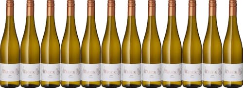 12x 'Jana Hauck' Silvaner 2023 - Weingut Hauck, Rheinhessen - Weißwein von Weingut Hauck