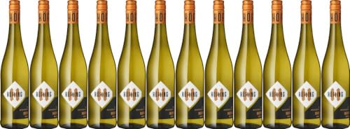 12x 'Muschelkalk' Bacchus halbtrocken 2023 - Weingut Höfling, Franken - Weißwein von Weingut Höfling