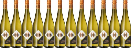 12x 'Muschelkalk' Müller Thurgau trocken 2023 - Weingut Höfling, Franken - Weißwein von Weingut Höfling