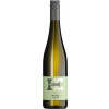 Hofmeister & Einsfeld 2023 Riesling Alsheimer Rheinblick trocken von Weingut Hofmeister & Einsfeld