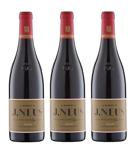 3x 0,75l - 2019er - Weingut J. Neus - Horn GG - Spätburgunder - VDP.Großes Gewächs - Qualitätswein Rheinhessen - Deutschland - Weißwein trocken von Weingut J. Neus