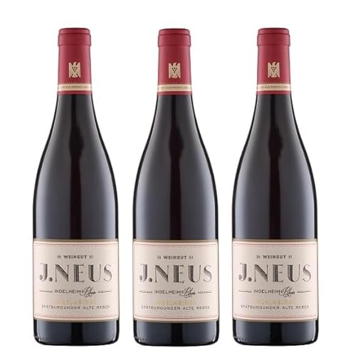 3x 0,75l - 2021er - Weingut J. Neus - Ingelheim - Spätburgunder - Alte Reben - VDP.aus Ersten Lagen - Qualitätswein Rheinhessen - Deutschland - Rotwein trocken von Weingut J. Neus