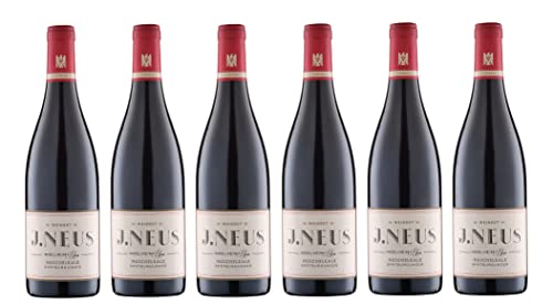 6x 0,75l - 2021er - Weingut J. Neus - Muschelkalk - Spätburgunder - VDP.Gutswein - Qualitätswein Rheinhessen - Deutschland - Rotwein trocken von Weingut J. Neus