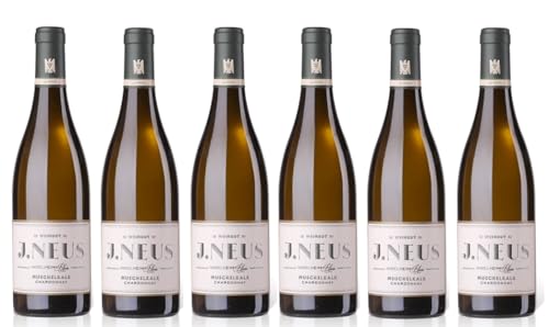 6x 0,75l - 2022er - Weingut J. Neus - Muschelkalk - Chardonnay - VDP.Gutswein - Qualitätswein Rheinhessen - Deutschland - Weißwein trocken von Weingut J. Neus