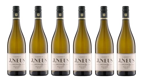 6x 0,75l - 2023er - Weingut J. Neus - Villa Neus - Blanc - VDP.Gutswein - Qualitätswein Rheinhessen - Deutschland - Weißwein trocken von Weingut J. Neus