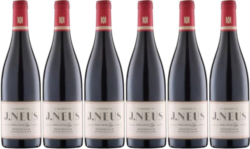 6x Neus Muschelkalk Spätburgunder VdP.Gutswein trocken 2021 - Weingut J. Neus, Rheinhessen - Rotwein von Weingut J. Neus