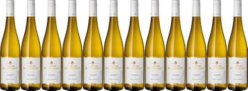 12x 'Schiefer' Riesling 2023 - Weingut Jakob Schneider, Nahe - Weißwein von Weingut Jakob Schneider