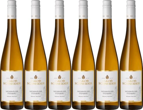 6x Riesling Steinberg 2023 - Weingut Jakob Schneider, Nahe - Weißwein von Weingut Jakob Schneider