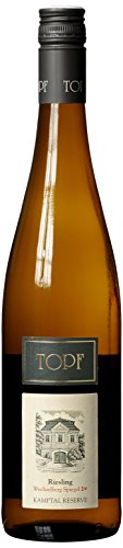 Weingut Johann Topf Riesling Wechselberg Spiegel Kamptal DAC Reserve Erste ÖTW Lage, 1er Pack (1 x 750 ml) von Weingut Johann Topf