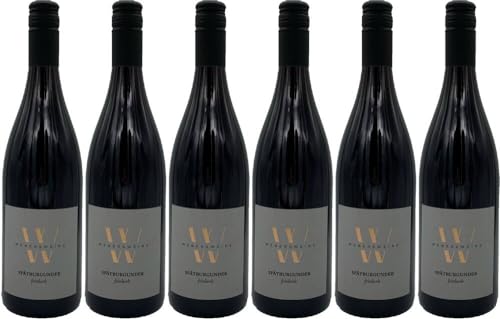 6x Spätburgunder 2023 - Weingut Johannes Weber, Baden - Rotwein von Weingut Johannes Weber