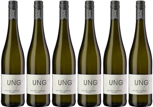 6x Müller-Thurgau halbtrocken 2022 - Weingut Jung - Wein- und Likörgut, Pfalz - Weißwein von Weingut Jung - Wein- und Likörgut