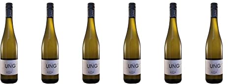 6x Riesling trocken 2022 - Weingut Jung - Wein- und Likörgut, Pfalz - Weißwein von Weingut Jung - Wein- und Likörgut