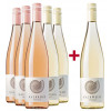 Kalkbödele  Sommerhauch Paket blanc & rose von Weingut Kalkbödele