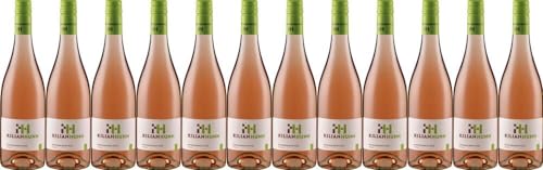 12x Spätburgunder Rosé trocken - junge Frische 2023 - Weingut Kilian Hunn, Baden - Rosé von Weingut Kilian Hunn