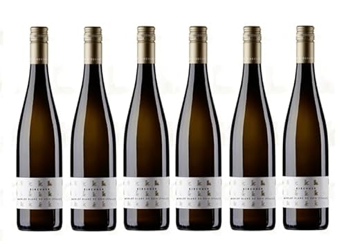 6x 0,75l - 2023er - Weingut Kirchner - Merlot - Blanc de Noir - Qualitätswein Pfalz - Deutschland - Weißwein trocken von Weingut Kirchner