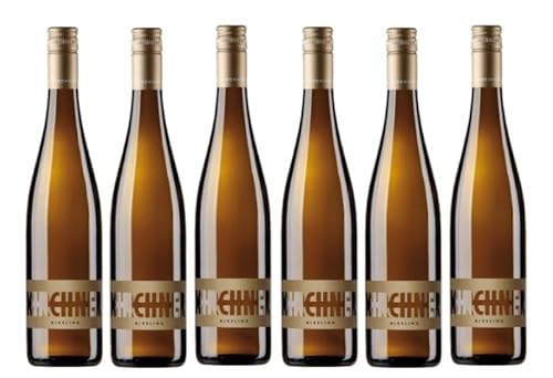 6x 0,75l - 2023er - Weingut Kirchner - Stadtmauer - Riesling - Qualitätswein Pfalz - Deutschland - Weißwein trocken von Weingut Kirchner