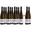 Kittenberger 2023 10+2 Paket Sauvignon Blanc trocken von Weingut Kittenberger