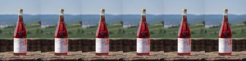 6x Portugieser Rose 2023 - Weingut Koch - Rosé von Weingut Koch