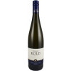 Kolb 2023 Sauvignon Blanc trocken von Weingut Kolb