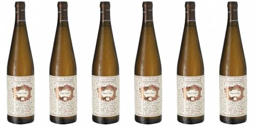 6x Livio Felluga Pinot Grigio 2023 - Weingut Livio Felluga, Veneto - Weißwein von Weingut Livio Felluga