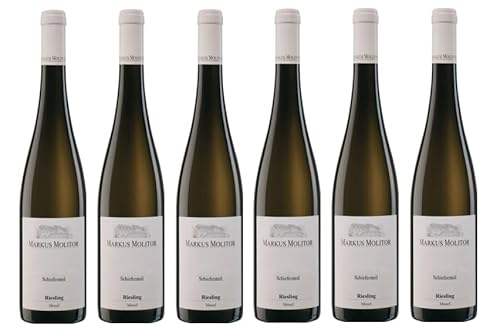 6x 0,75l - 2023er - Weingut Markus Molitor - Schiefersteil - Riesling - Qualitätswein Mosel - Deutschland - Weißwein trocken von Weingut Markus Molitor