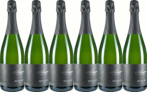 6x Riesling Sekt Brut 2022 - Weingut Michael Schaurer, Pfalz - Weißwein von Weingut Michael Schaurer