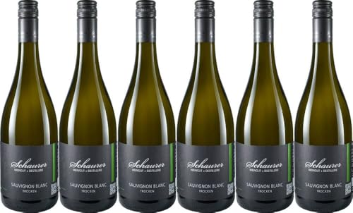 6x Sauvignon Blanc trocken 2023 - Weingut Michael Schaurer, Pfalz - Weißwein von Weingut Michael Schaurer