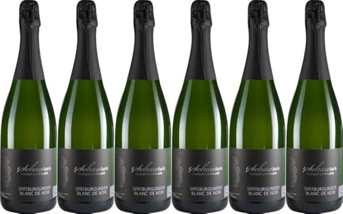 6x Spätburgunder Sekt 'Blanc de Noir' brut 2021 - Weingut Michael Schaurer, Pfalz - Rosé von Weingut Michael Schaurer