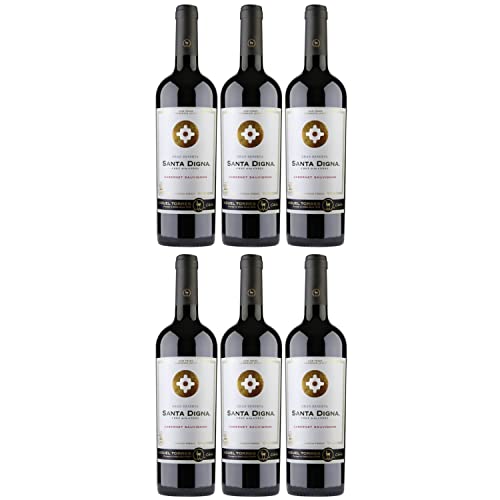 Miguel Torres Santa Digna Gran Reserva Cabernet Sauvignon Rotwein Wein Halbtrocken Chile I Versanel Paket (6 x 0,75l) von Weingut Miguel Torres