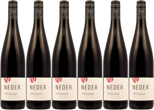 6x Wirmsthaler Scheinberg Regent trocken 2023 - Weingut Neder, Franken - Rotwein von Weingut Neder