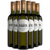 Payr 2023 Paket Sauvignon Blanc Selection ÖTW Gutswein trocken Bio von Weingut Payr