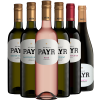 Payr  Kennenlernpaket von Weingut Payr