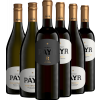 Payr  Weihnachtswunder-Paket trocken von Weingut Payr