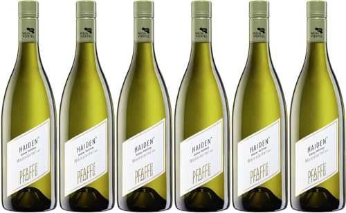 6x Grüner Veltliner Haiden DAC 2023 - Weingut Pfaffl, Weinviertel - Weißwein von Weingut Pfaffl