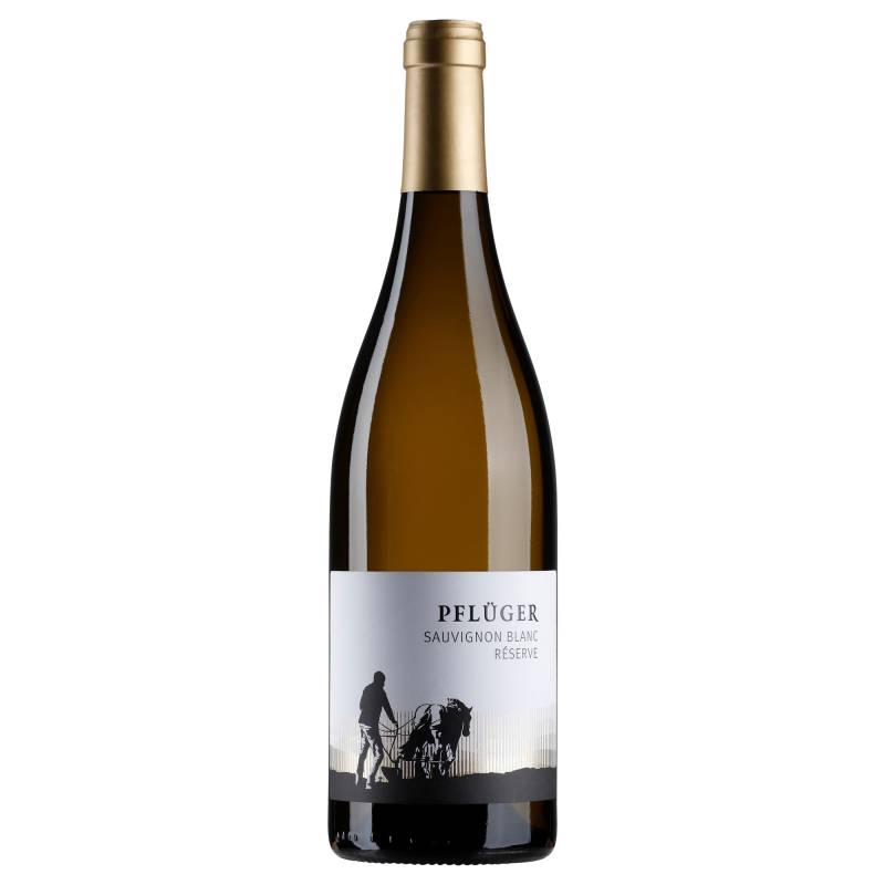 Pflüger Sauvignon Blanc Réserve, Trocken, Pfalz, Pfalz, 2022, Weißwein von Weingut Pflüger, D - 67098 Bad Dürkheim