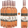 Pfneisl 2024 5+1 Paket Offspring Rosé trocken von Weingut Pfneisl