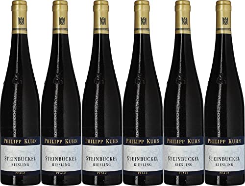6x Philipp Kuhn Steinbuckel Riesling Großes Gewächs 2022 - Weingut Philipp Kuhn, Pfalz - Weißwein von Weingut Philipp Kuhn