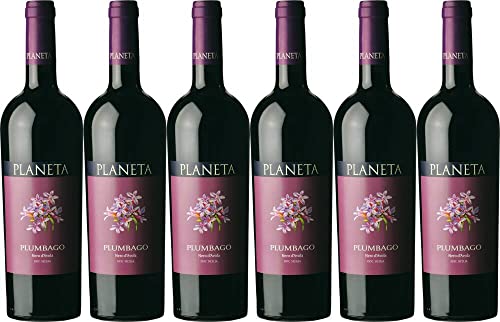 6x Planeta Plumbago Nero d'Avola Barrique 2021 - Weingut Planeta, Sicilia - Rotwein von Weingut Planeta