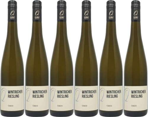 6x Wintricher Riesling feinherb 2023 - Weingut Quint, Mosel - Weißwein von Weingut Quint