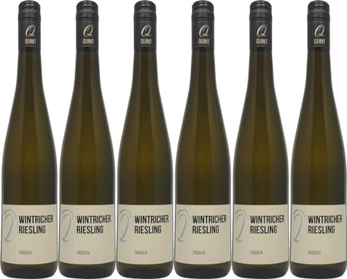 6x Wintricher Riesling trocken 2023 - Weingut Quint, Mosel - Weißwein von Weingut Quint