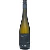 Rabl 2020 Riesling Schenkenbichl \"Alte Reben\"" trocken" von Weingut Rabl