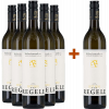 Regele 2023 5+1 Paket Gelber Muskateller von Weingut Regele