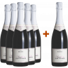 Regele  5+1  Paket Thee Bubblé von Weingut Regele