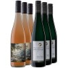 Richard Böcking 2020 Sommerpaket von Weingut Richard Böcking