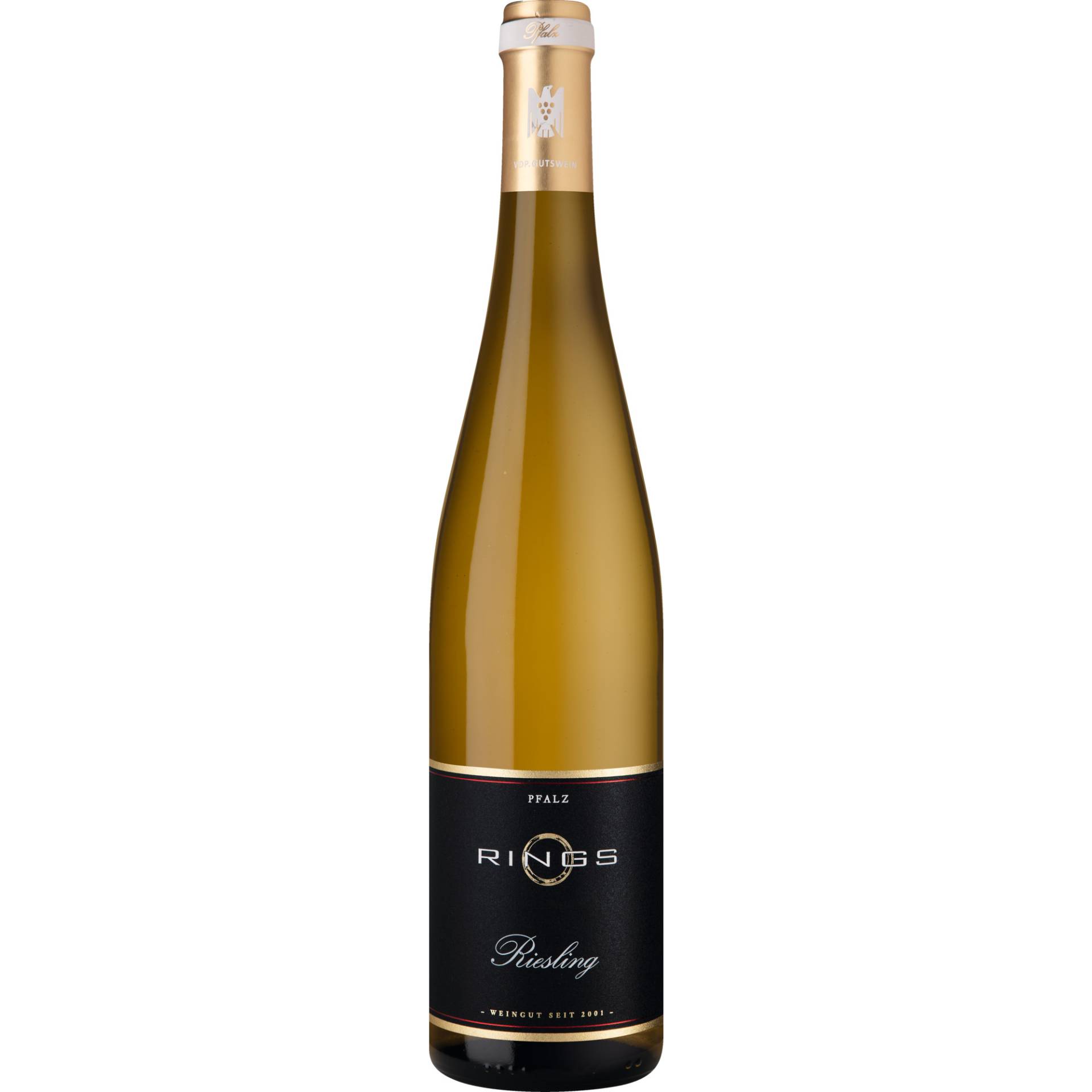 Rings Riesling, Trocken, Pfalz, Pfalz, 2023, Weißwein von Weingut Rings, D - 67251 Freinsheim